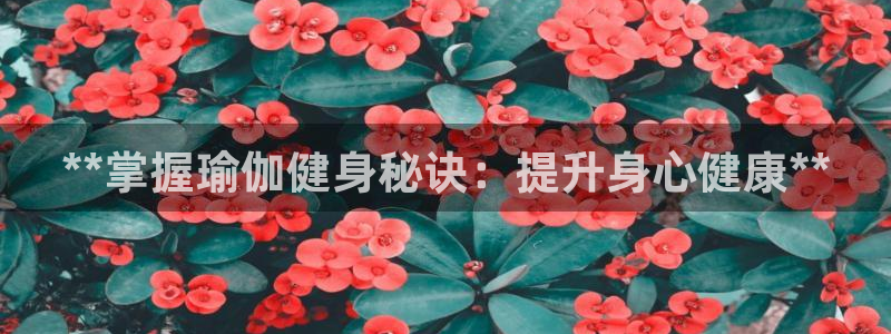 龙8国际欢迎您