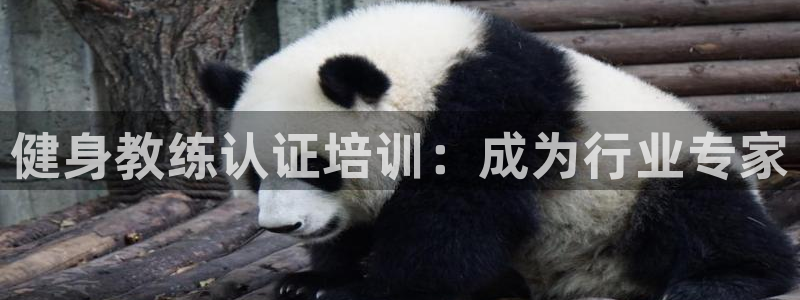 龙8国际手机网页版