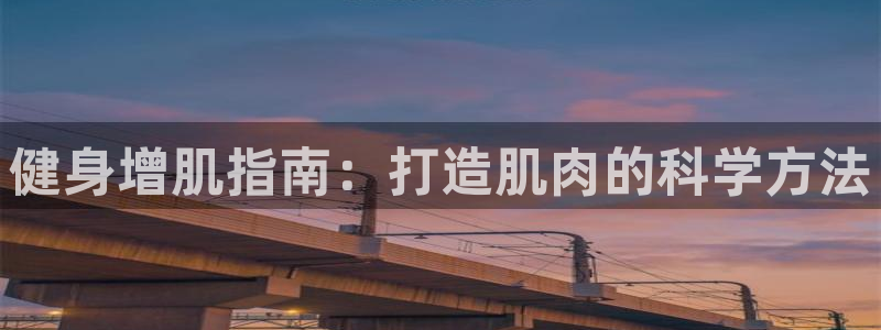 龙八国际娱乐官网app