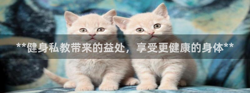 龙8官网老虎机游戏主页