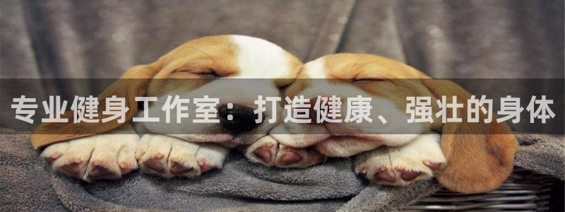 龙8国际为啥改名叫头号玩家了