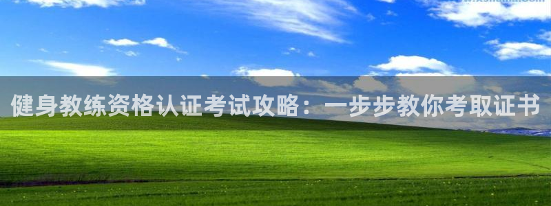 龙八棋牌