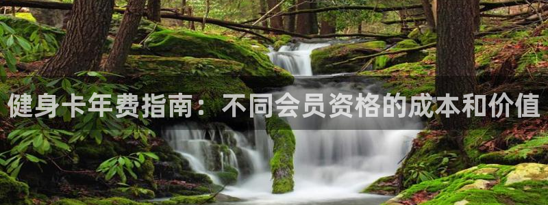 下载龙八国际