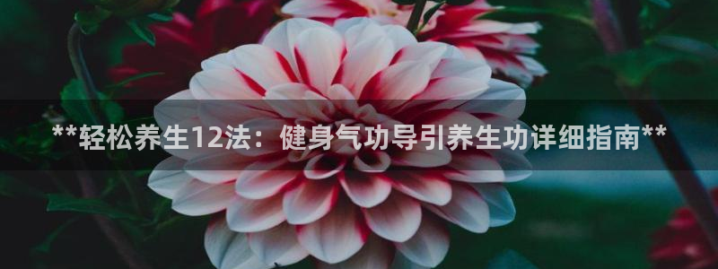 龙8国际手机官网下载安装