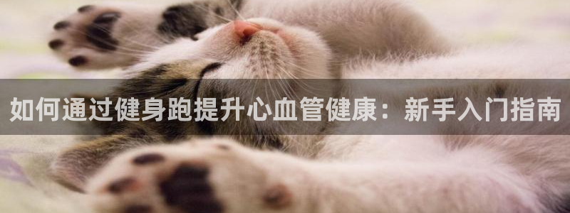 龙8国际官方平台