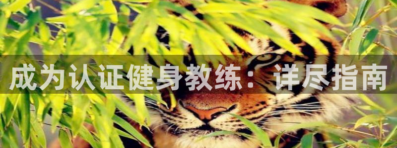龙8国际的官网