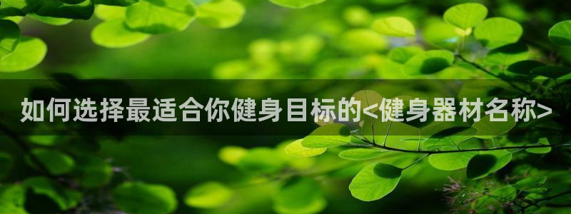 龙8国际官方下载