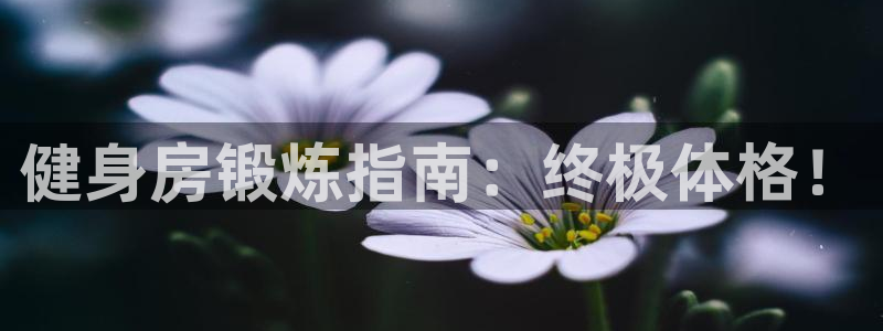龙8国际老虎机官网