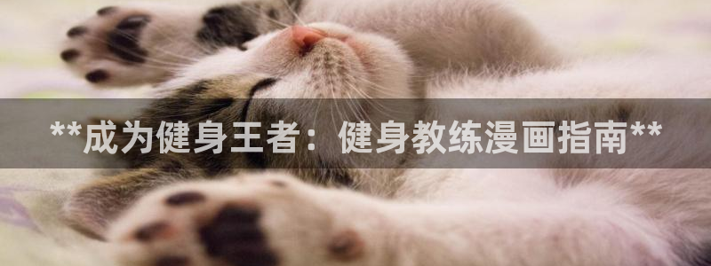 龙8国际app下载安装