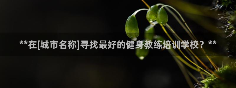 龙八国际下载官网平台