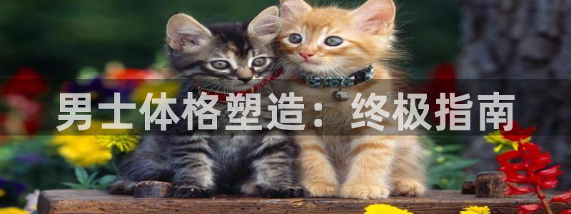 龙8国际long8官方版下载