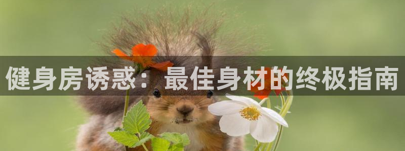 龙8国际官网进入