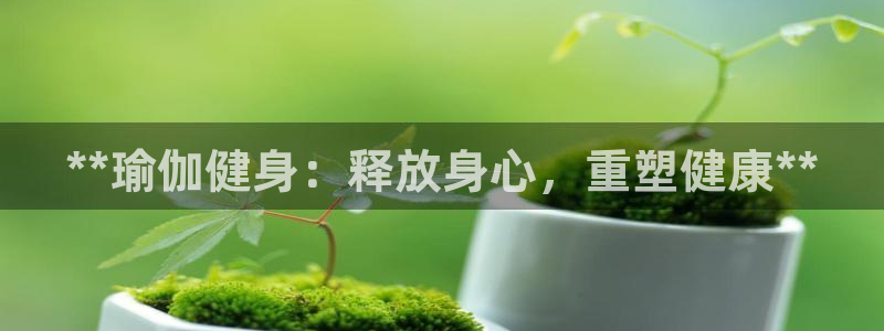 龙8国际com