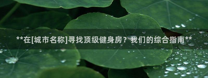 龙8app 国际