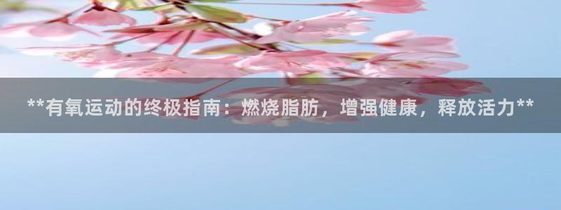 龙8国际登录口