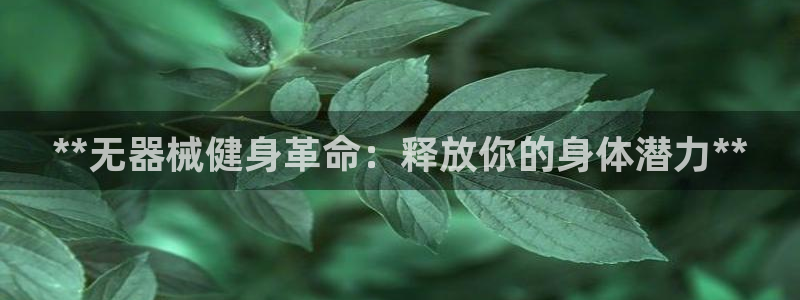 龙8国际long88