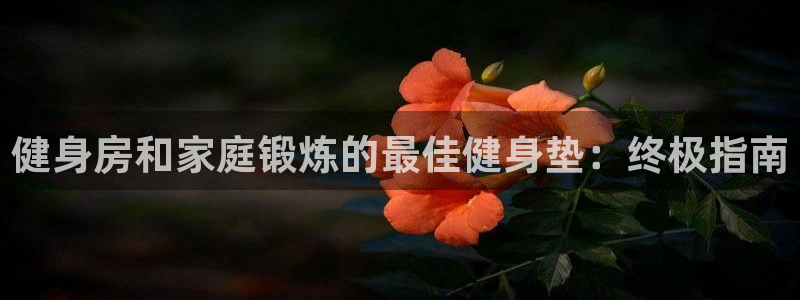 龙8国际下载