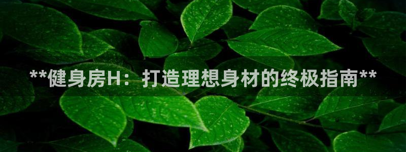 龙8国际手机版注册