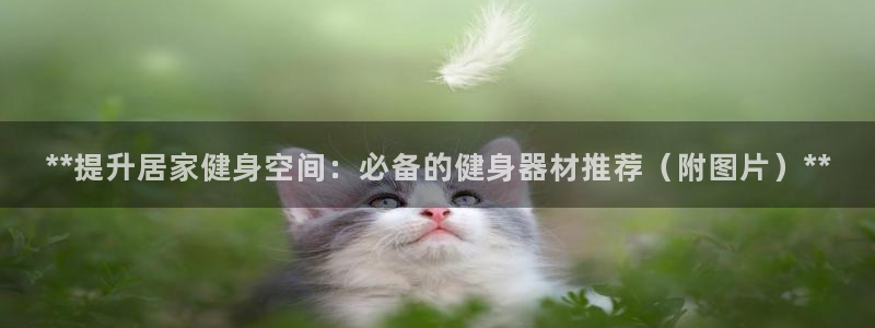 龙8国际官网登录口