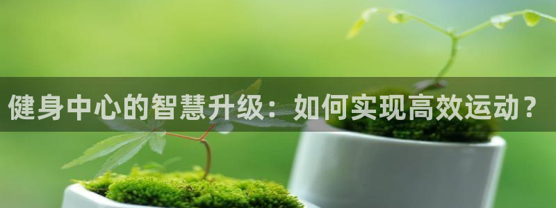 龙8国际平台
