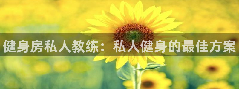 龙8游戏官网