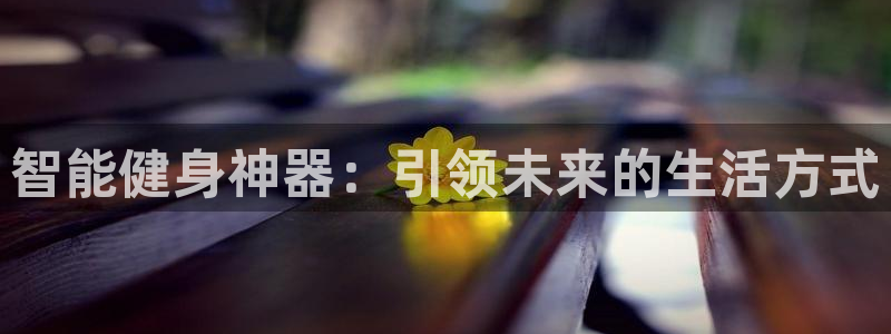 龙8棋牌官网