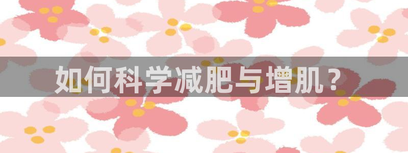 龙八国际服官网站