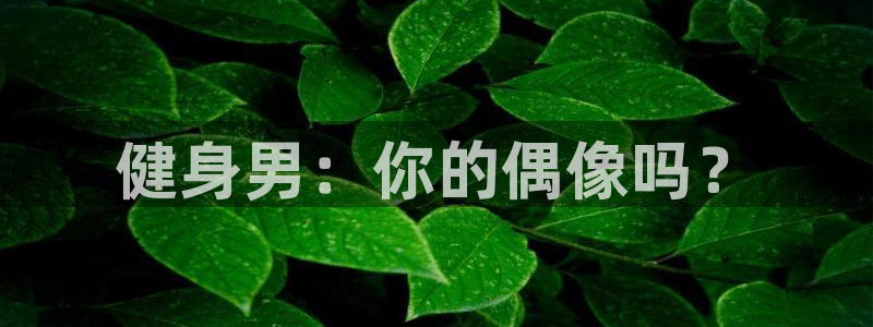 龙8国际提现被黑