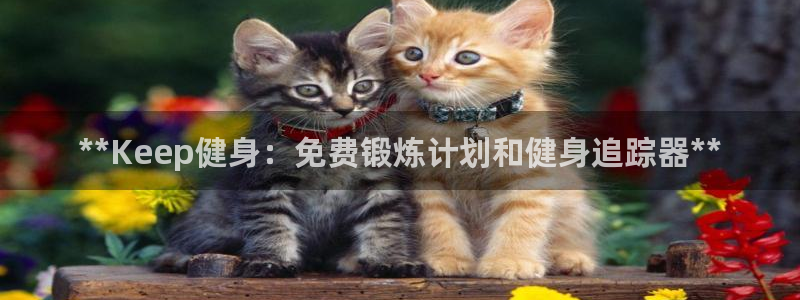 龙8国际被侦破了吗