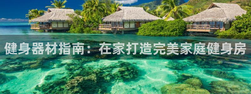 龙8国际-注册