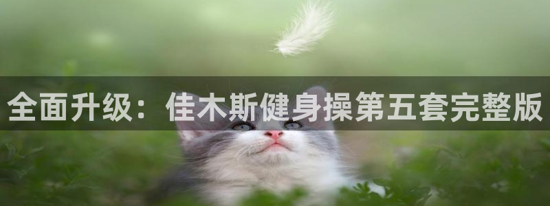 龙8国际是真的吗