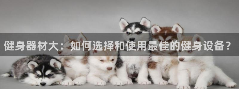 龙8国际游戏娱乐