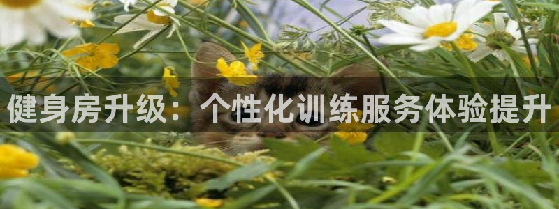 龙8国际手机官网下载
