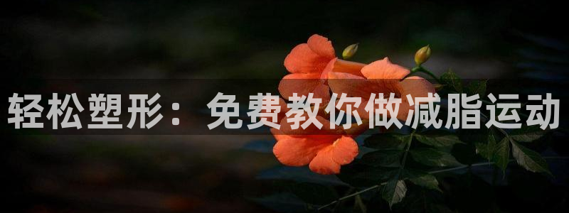 龙8老虎机手机版