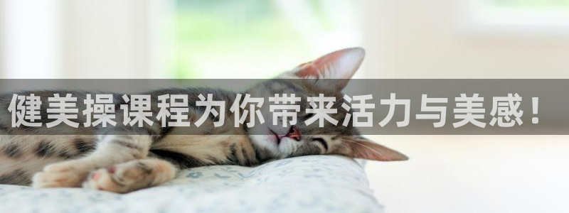 龙8国际开户