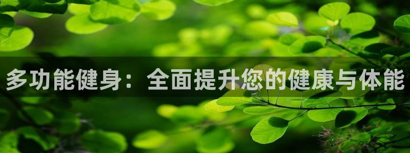 龙8国际2021官方网站pkufli1.291