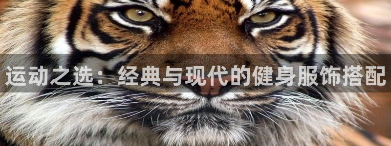 龙8国际网站是多少