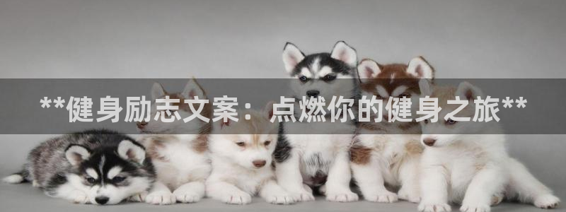 国际龙8下载