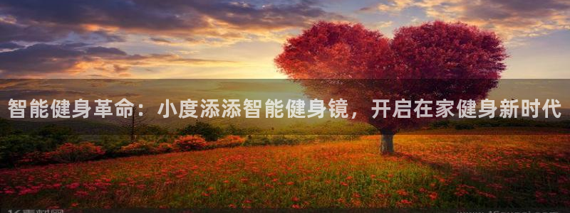 龙8国际网页登陆