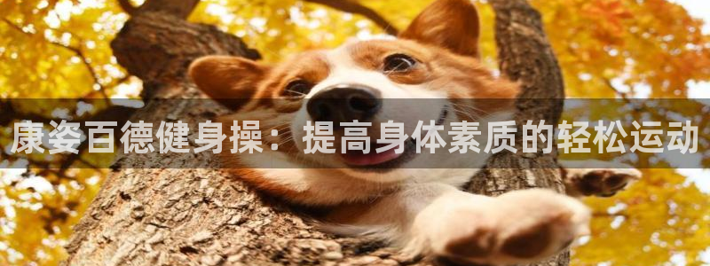 龙8app 国际