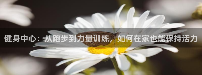 龙8国际老虎机游戏