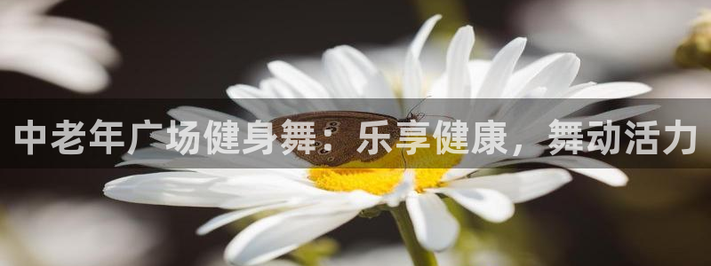 龙8国际app客户端下载不了