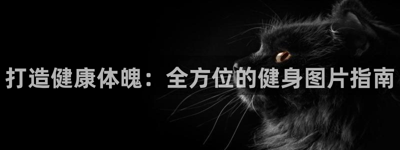 龙8国际2021官方网站pkufli1.291