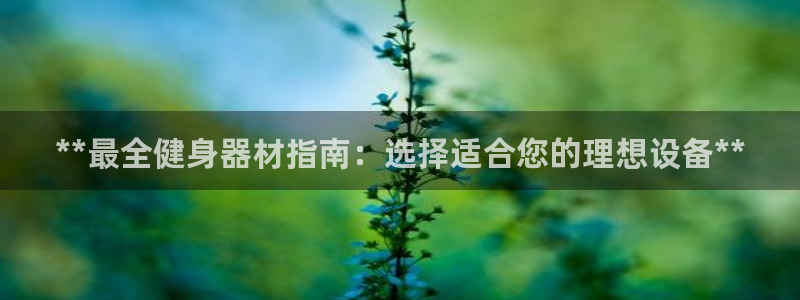 龙8国际客服