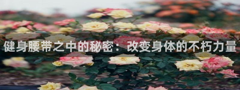 龙8app 国际