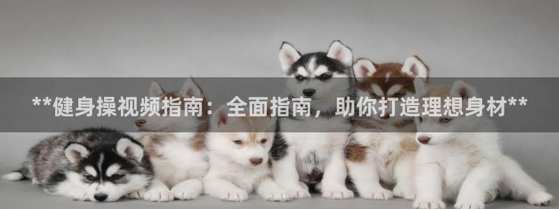 龙8国际老虎机官网