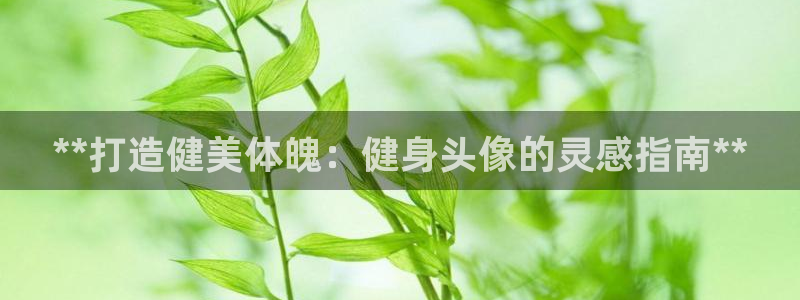 龙8头号玩家游戏官方进入