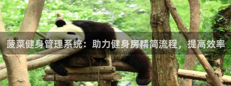 龙8国际是不是黑台子