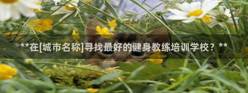 龙8国际官网app下载