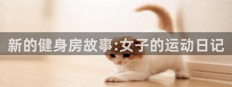 龙8国际线上